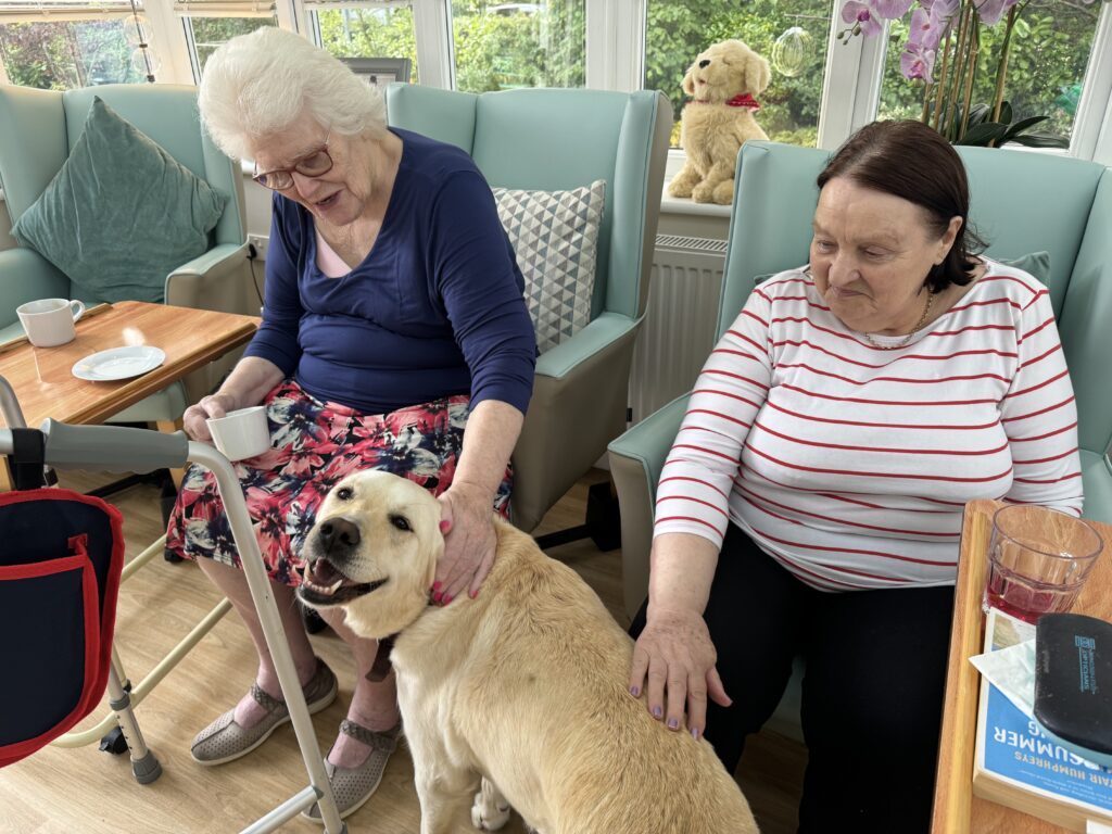 Oak Tree Lodge Care Home